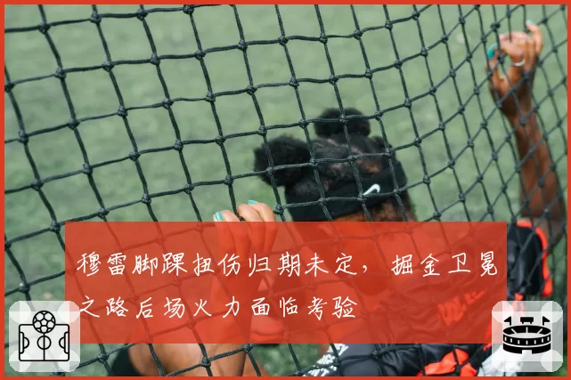 穆雷脚踝扭伤归期未定，掘金卫冕之路后场火力面临考验